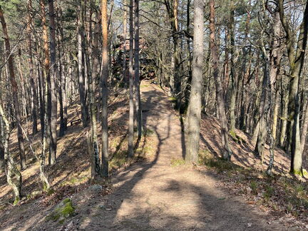 23-02-28 12-46-04 4471